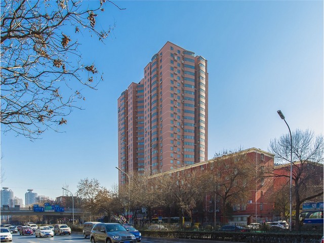 南山区园区红火蚁检测