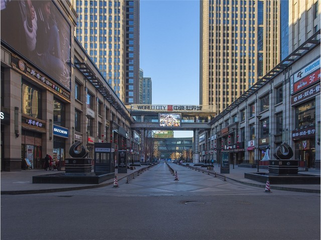 徐汇区先进动物雕塑预算